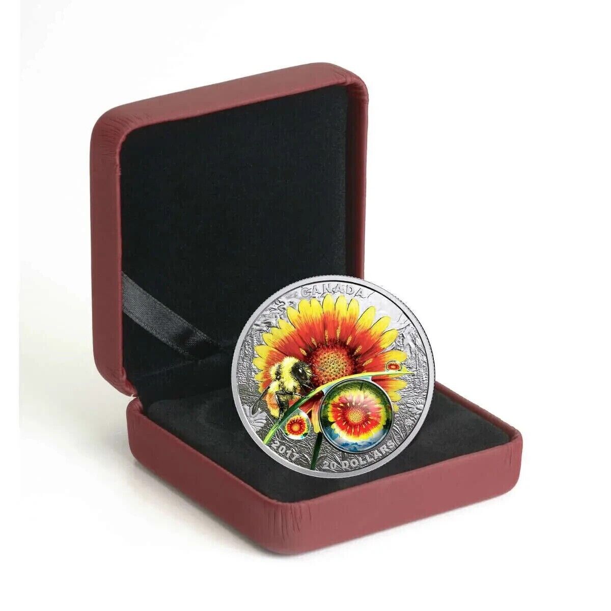 1 Oz Silver Coin Canada Mother Nature's Magnification Beauty under the Sun Bee-classypw.com-4