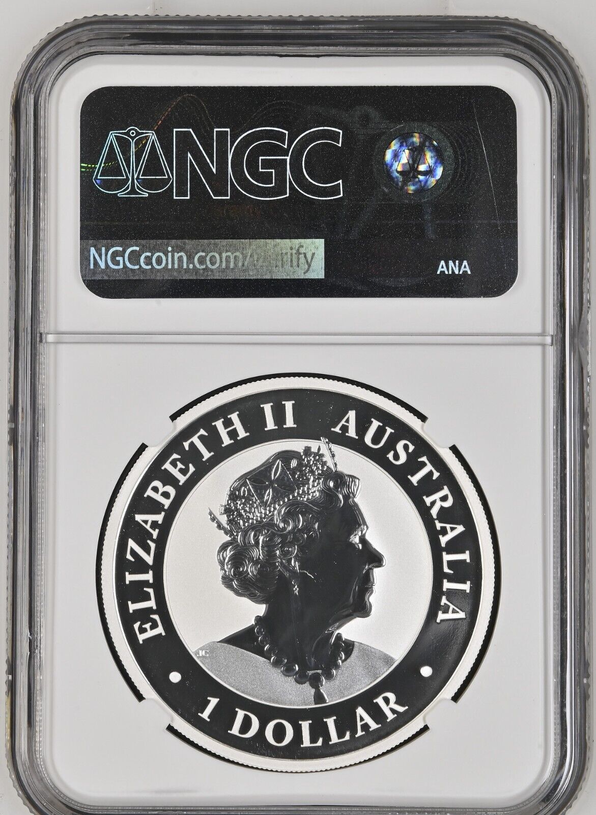 44219882