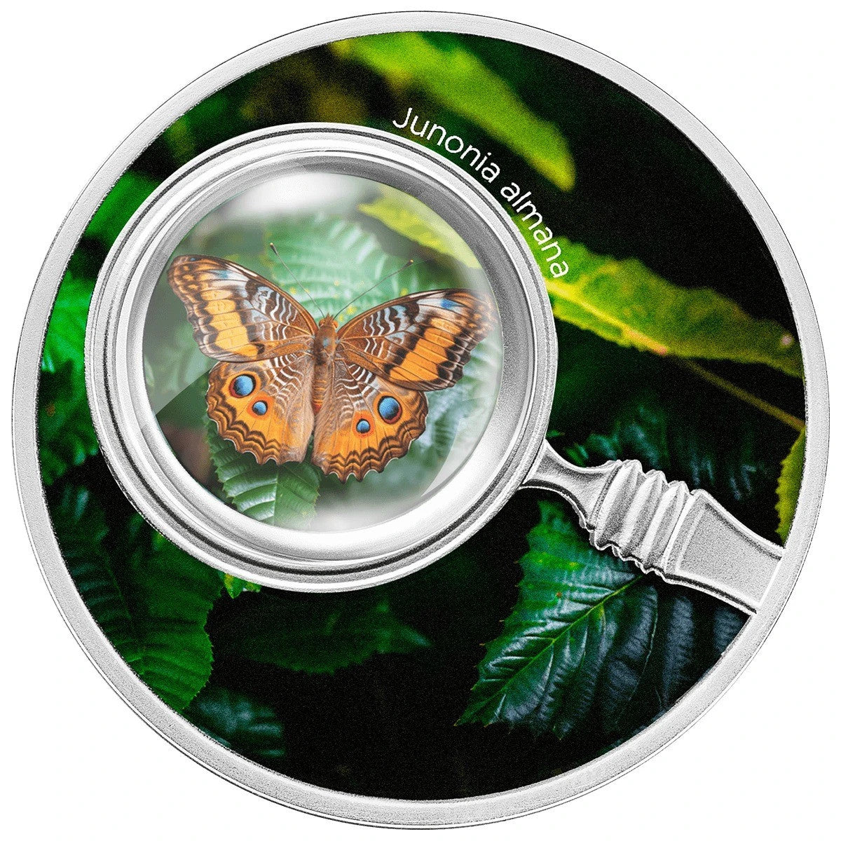 varientimages