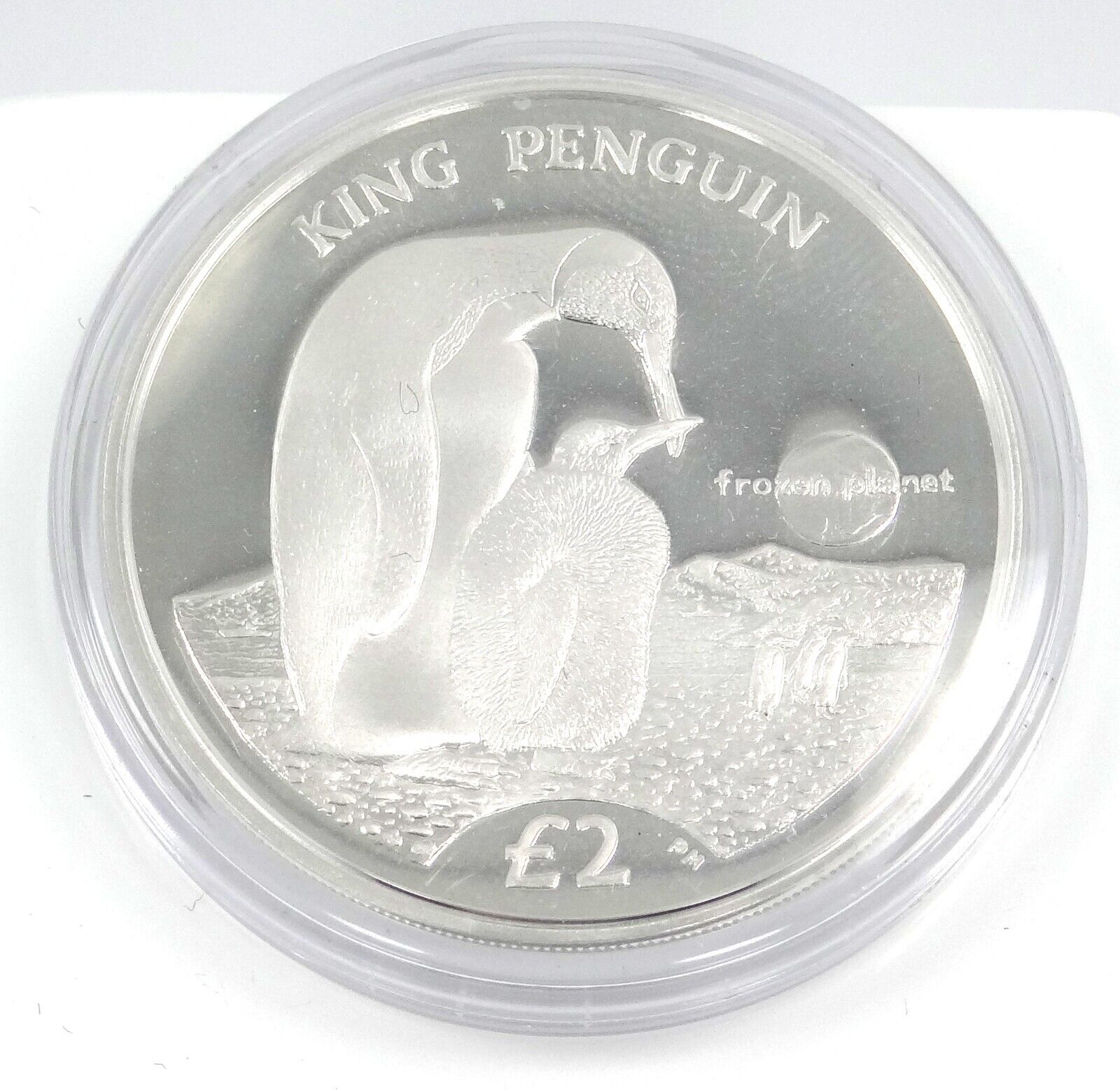 28.28g Silver Coin 2012 South Georgia Sandwich Islands King Penguin Pobjoy Mint-classypw.com-1