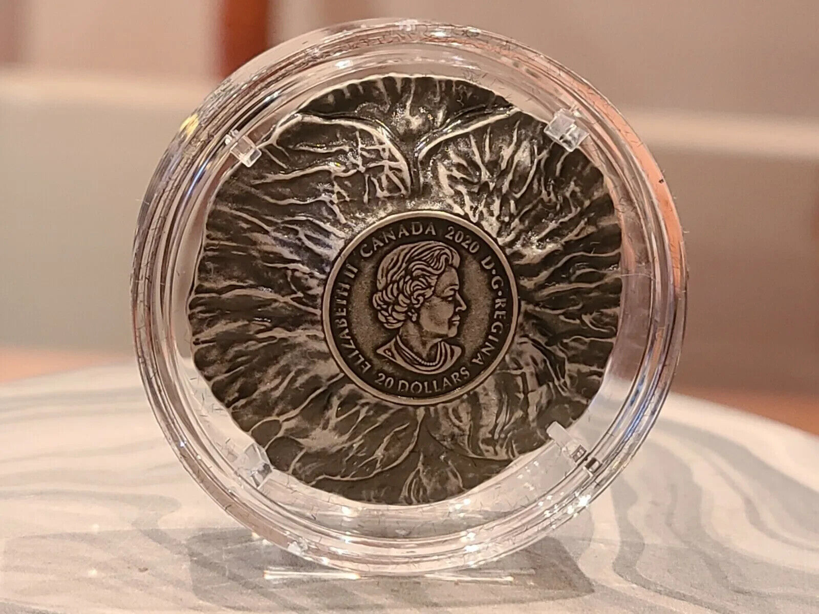 28.50g Silver Coin 2020 $20 Remembrance Day Poppy Flower Shaped Curved Coin-classypw.com-8