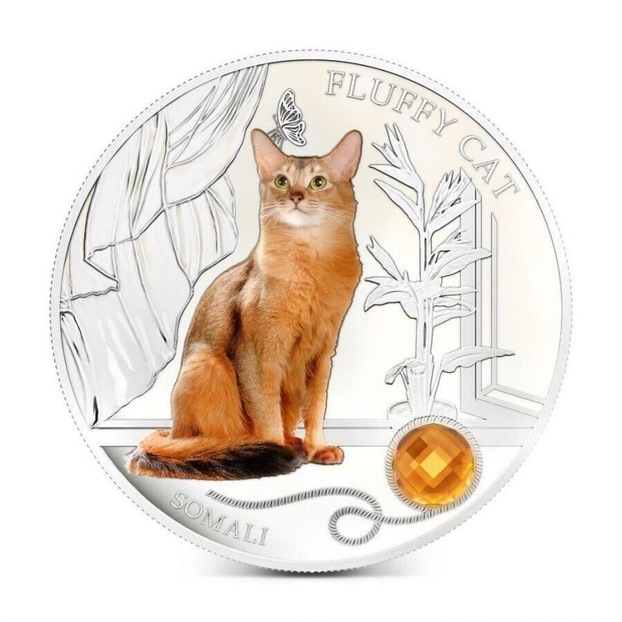 1 Oz Silver Coin 0.999 2013 $2 Fiji Dogs & Cats - Fluffy Cat with stone - Somali-classypw.com-1