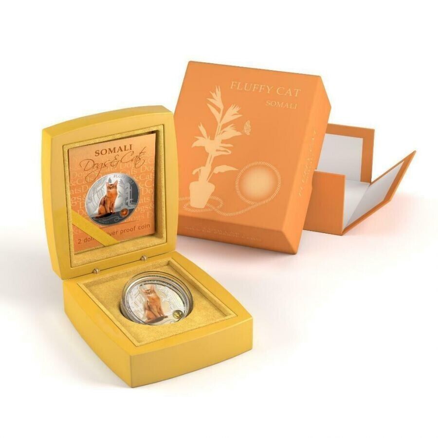 1 Oz Silver Coin 0.999 2013 $2 Fiji Dogs &amp; Cats - Fluffy Cat with stone - Somali-classypw.com-2