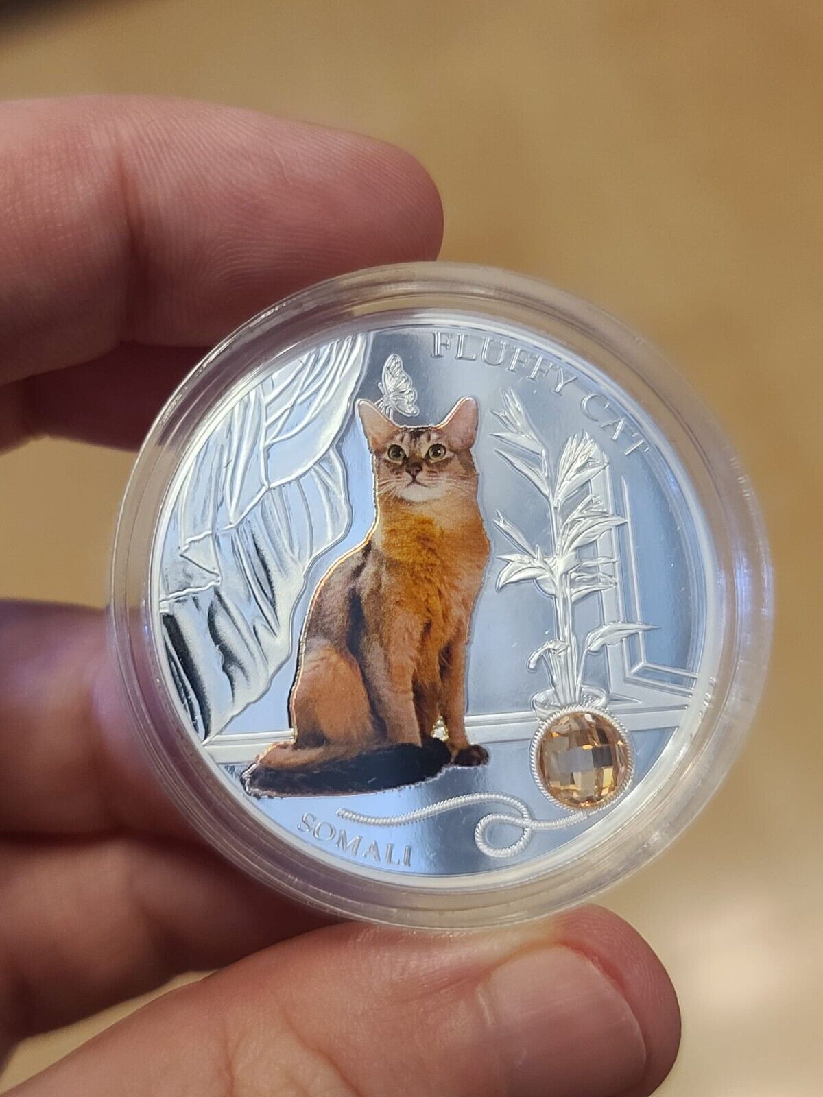 1 Oz Silver Coin 0.999 2013 $2 Fiji Dogs &amp; Cats - Fluffy Cat with stone - Somali-classypw.com-6