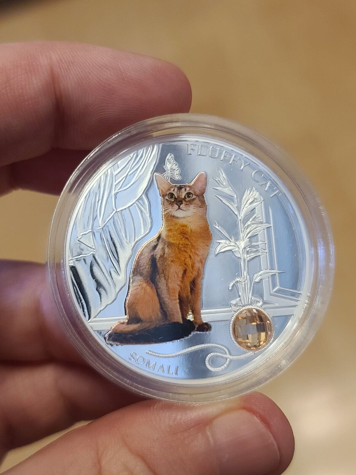 1 Oz Silver Coin 0.999 2013 $2 Fiji Dogs & Cats - Fluffy Cat with stone - Somali-classypw.com-6