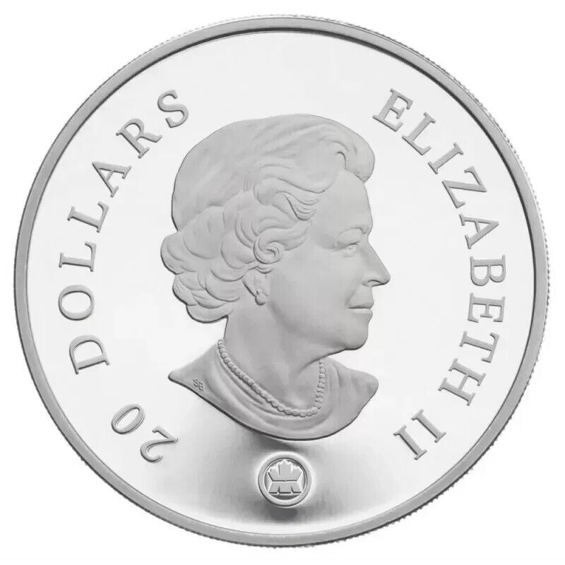 1 Oz Silver Coin 2008 $20 Canada Crystal Snowflake - Amethyst Swarovski Crystals-classypw.com-2