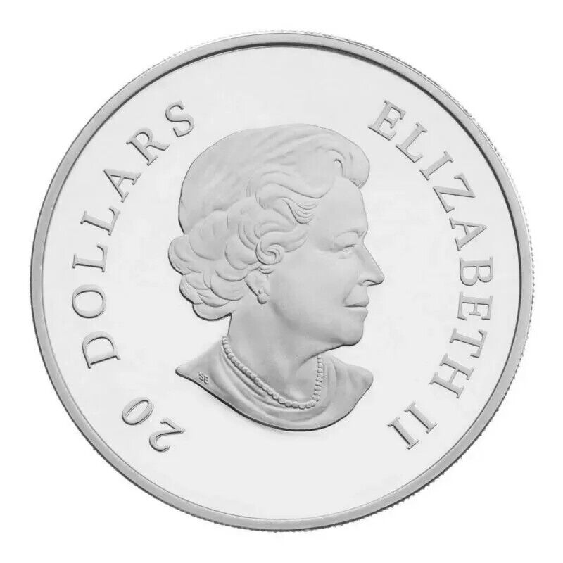 1 Oz Silver Coin 2010 $20 Canada Blue Crystal Snowflake Swarovski-classypw.com-2