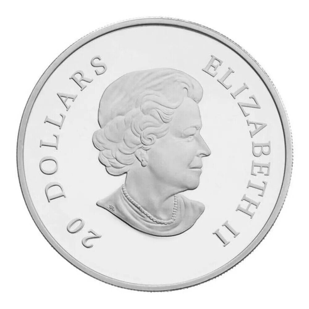 1 Oz Silver Coin 2012 $20 Canada Winter Crystal Snowflake Clear Swarovski-classypw.com-2