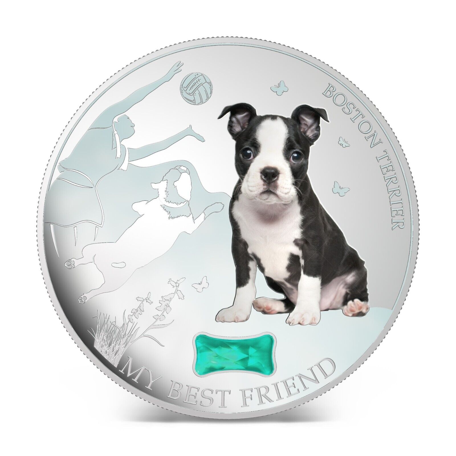 1 Oz Silver Coin 2013 $2 Fiji Dogs & Cats Best Friend w/ stone - Boston Terrier-classypw.com-1