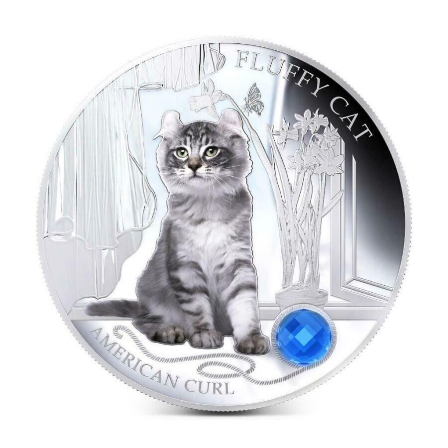 1 Oz Silver Coin 2013 $2 Fiji Dogs & Cats - Fluffy Cat w/ stone - American Curl-classypw.com-1
