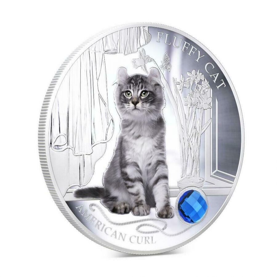 1 Oz Silver Coin 2013 $2 Fiji Dogs & Cats - Fluffy Cat w/ stone - American Curl-classypw.com-3
