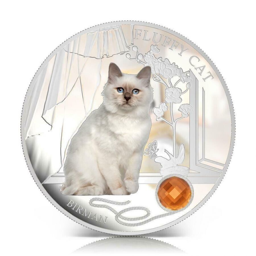 1 Oz Silver Coin 2013 $2 Fiji Dogs & Cats Fluffy Cat w/stone - Birman-classypw.com-1