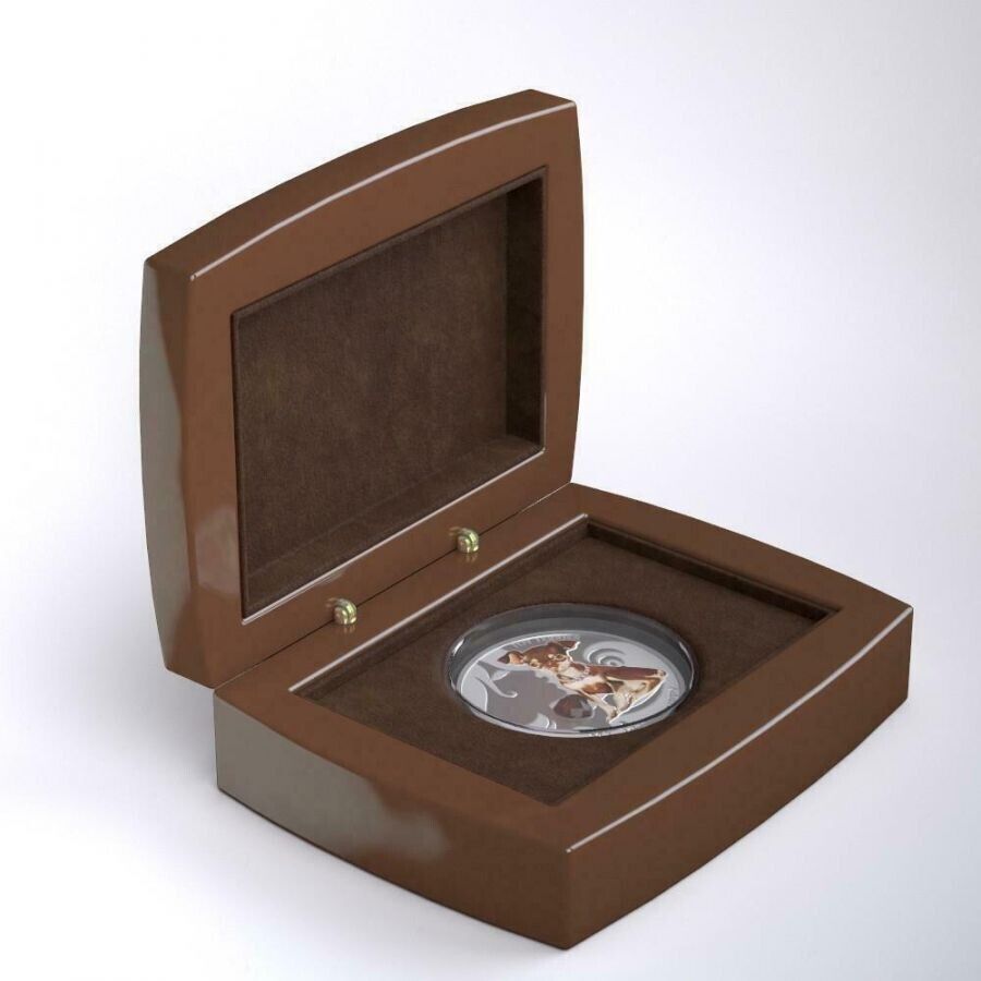 1 Oz Silver Coin 2013 $2 Fiji Dogs &amp; Cats - Little Puppy w/ stone - Toy Terrier-classypw.com-5