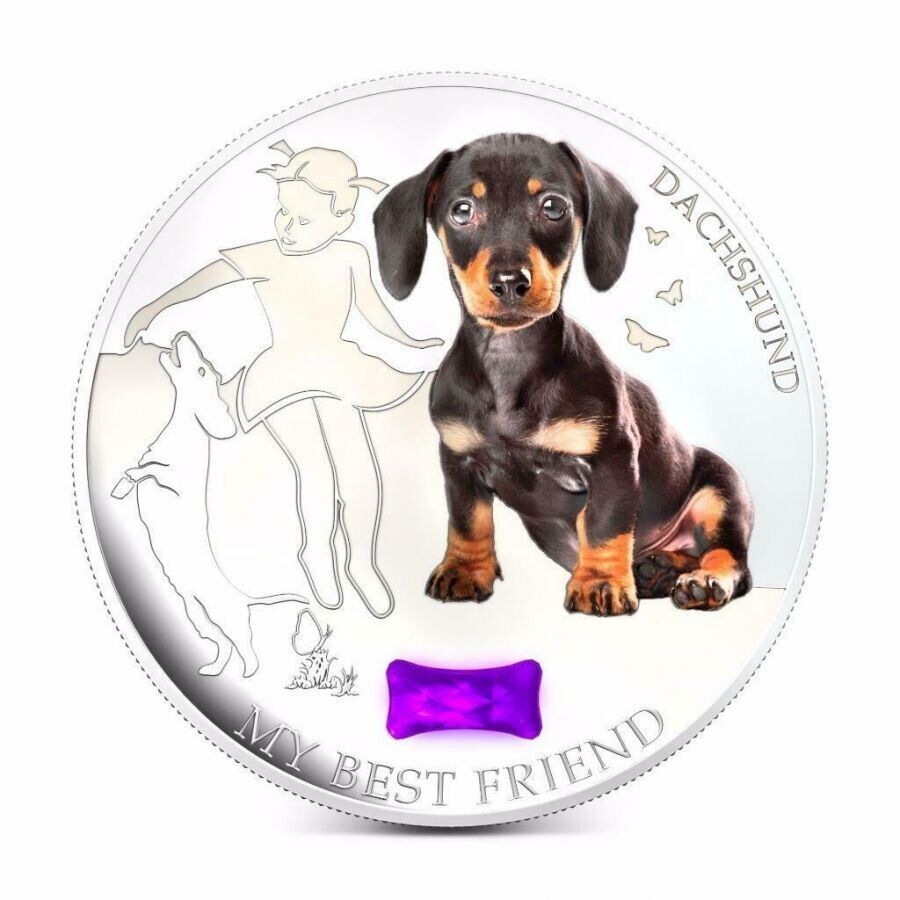 1 Oz Silver Coin 2013 $2 Fiji Dogs &amp; Cats - My Best Friend w/ stone - Dachshund-classypw.com-1