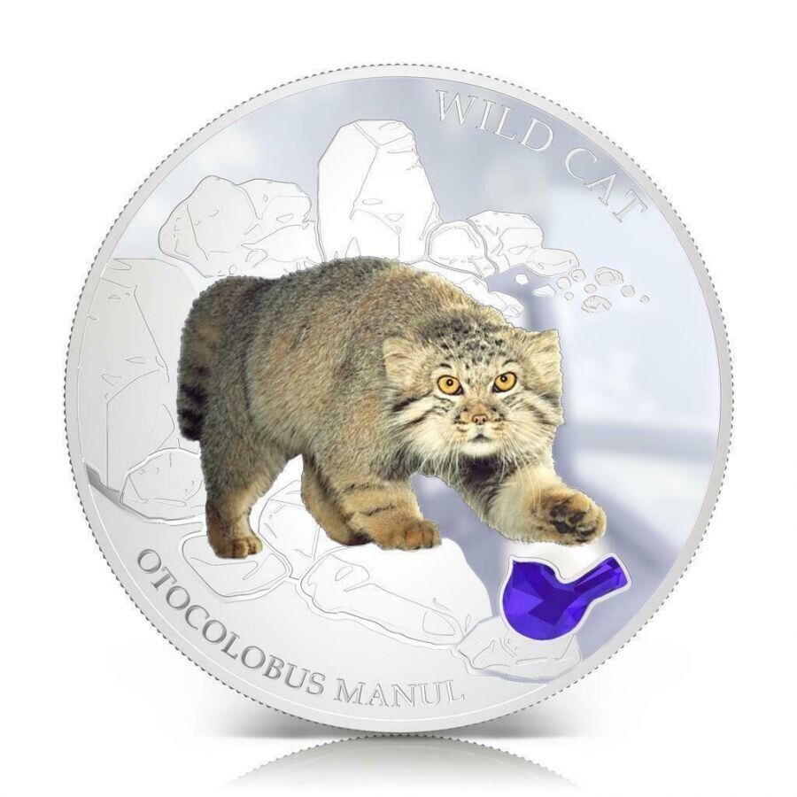 1 Oz Silver Coin 2013 $2 Fiji Dogs &amp; Cats - Wild Cat w/ stone - Otocolobus Manul-classypw.com-1