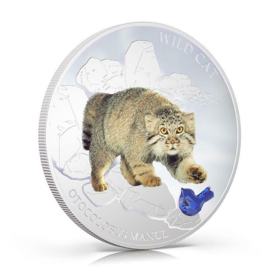 1 Oz Silver Coin 2013 $2 Fiji Dogs & Cats - Wild Cat w/ stone - Otocolobus Manul-classypw.com-1