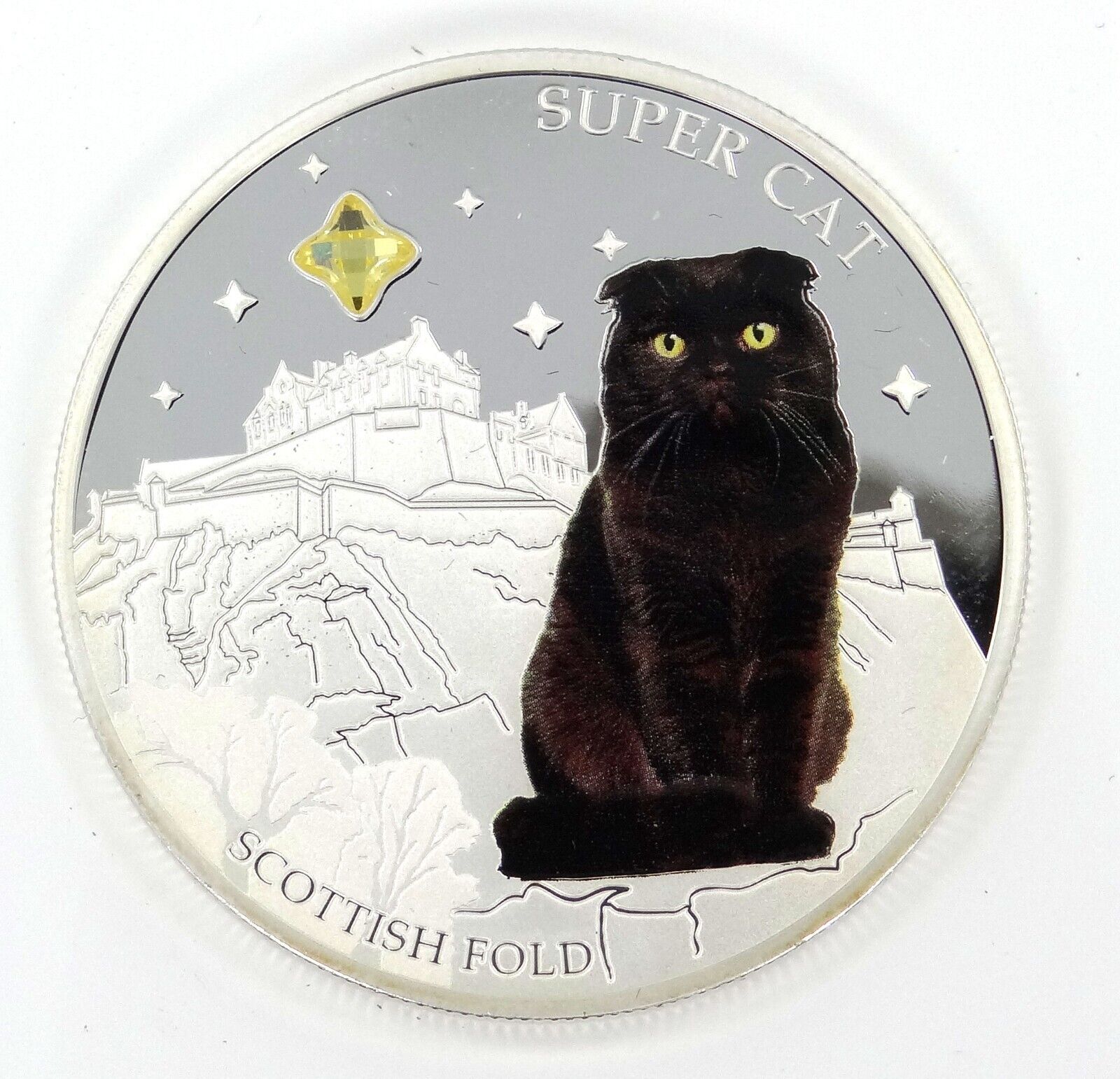 1 Oz Silver Coin 2013 $2 Fiji Dogs & Cats Wild Cat w/ stone - Scottish Fold-classypw.com-1