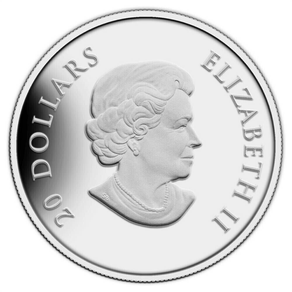 1 Oz Silver Coin 2013 $20 Canada Winter Snowflake Black Swarovski Crystal-classypw.com-2