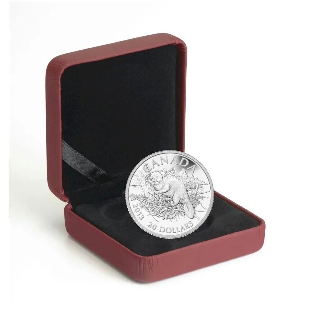 1 Oz Silver Coin 2013 Canada $20 Proof The Beaver-classypw.com-4
