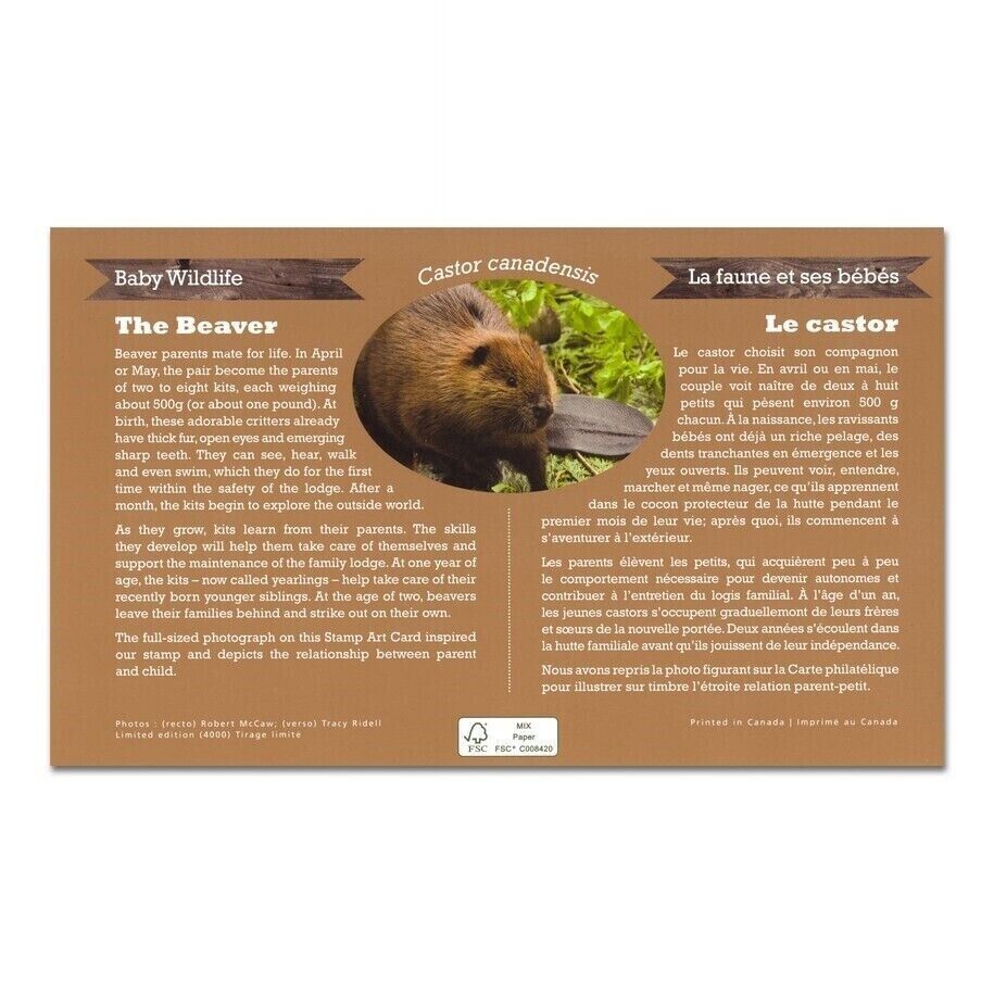 1 Oz Silver Coin 2014 $20 Canada Baby Animals : Beaver Coin & Stamp Set-classypw.com-5