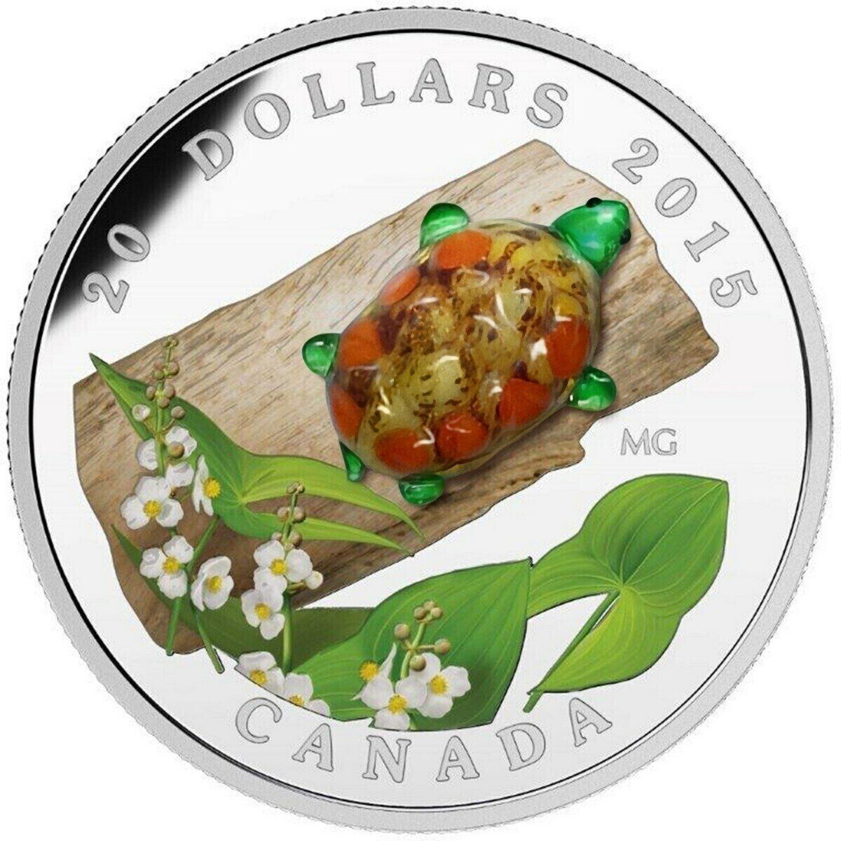 1 Oz Silver Coin 2015 $20 Canada Murano Glass Turtle Broadleaf Arrowhead Flower-classypw.com-2