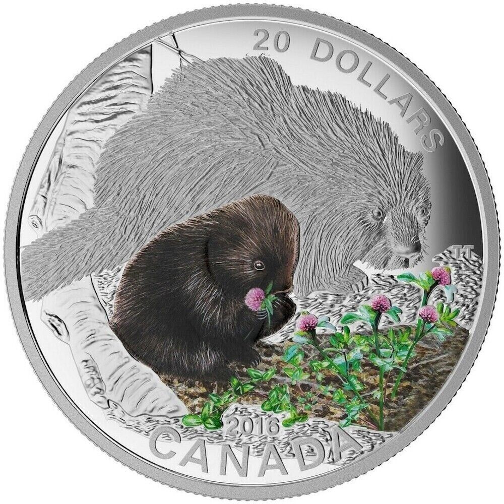 1 Oz Silver Coin 2016 $20 Canada Baby Animals : The Porcupine Coin & Stamp Set-classypw.com-2