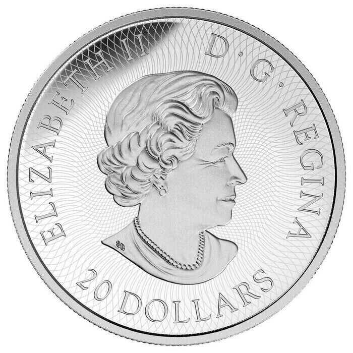 1 Oz Silver Coin 2016 $20 Canada Maple Leaf Maze Puzzle Red Maple Leaf Color-classypw.com-3