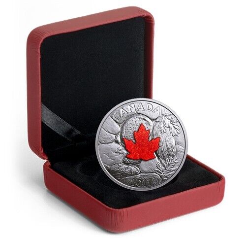 1 Oz Silver Coin 2017 $20 Canada Majestic Maple Leaves with Drusy Stone-classypw.com-6