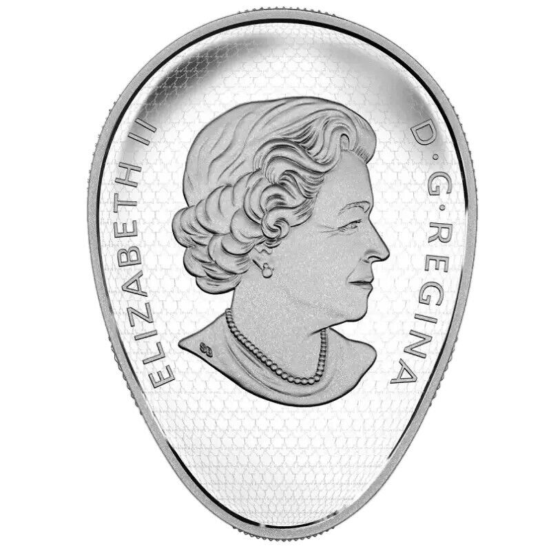 1 Oz Silver Coin 2017 Canada $20 Hot Air Balloons Elliptical Shaped-classypw.com-2