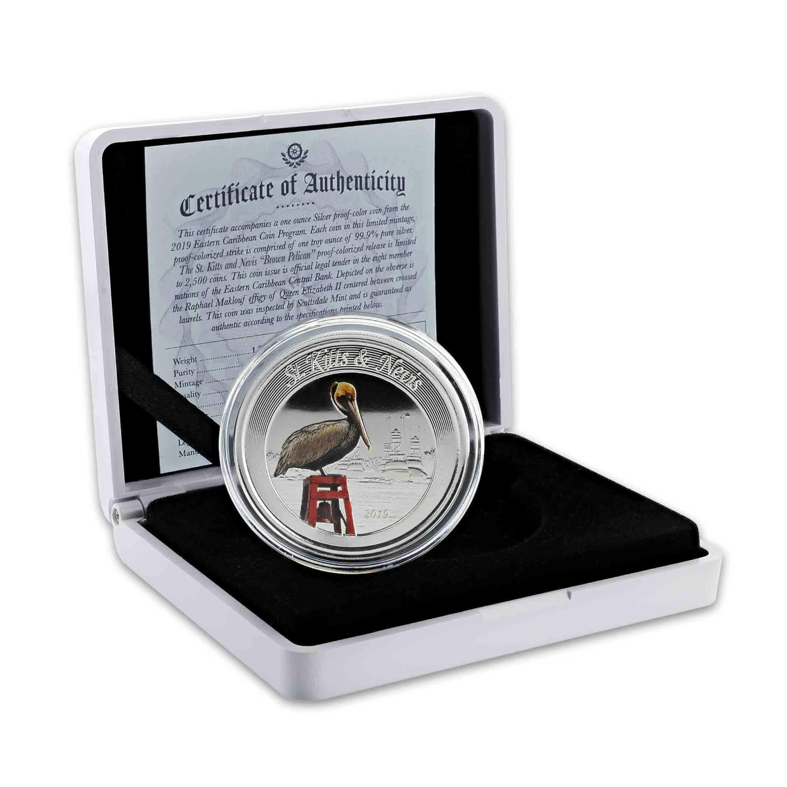 1 Oz Silver Coin 2019 EC8 Saint Kitts & Nevis $2 Color Proof - Brown Pelican-classypw.com-5