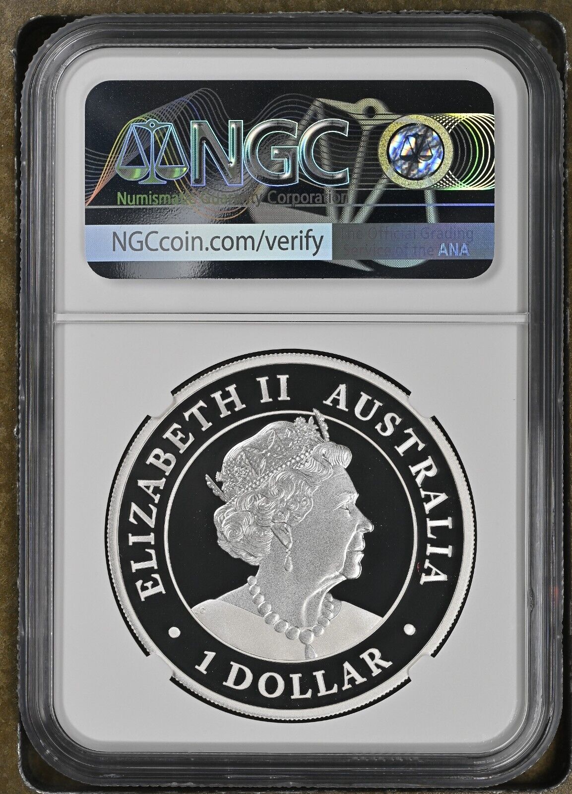 44186713