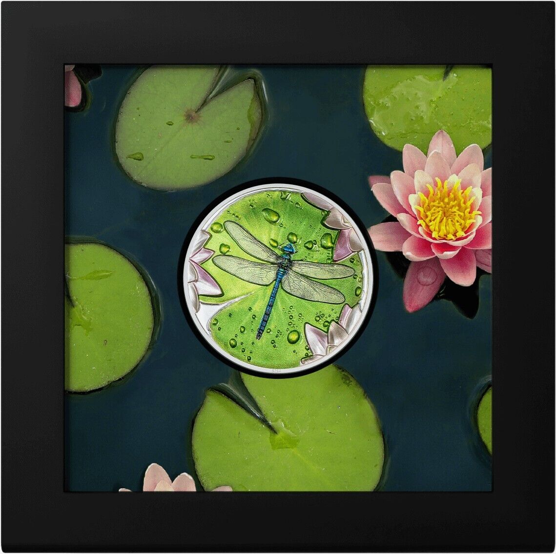 1 Oz Silver Coin 2024 Palau $5 Color Proof Lily Pad Dragonfly Ultra High Relief-classypw.com-6