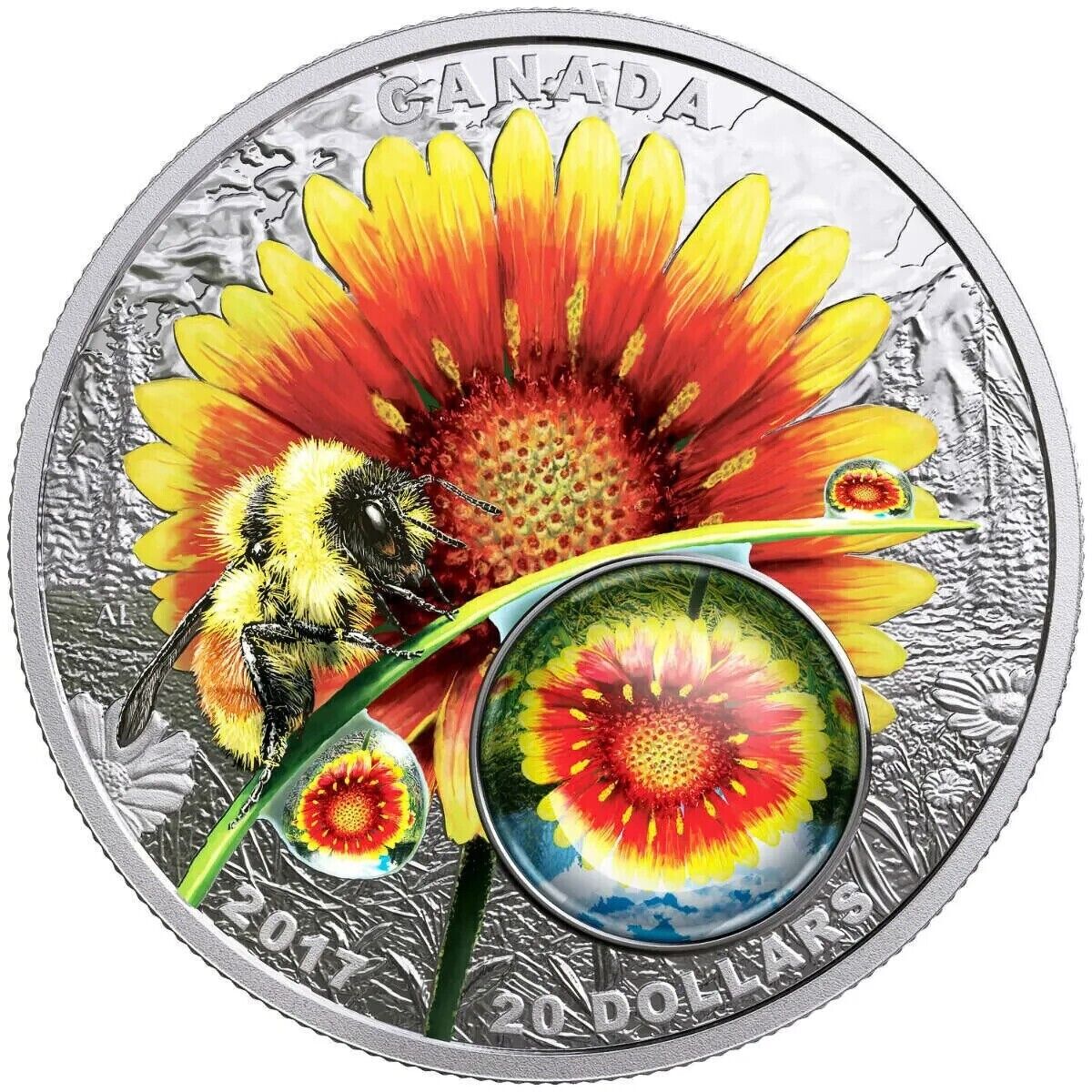 1 Oz Silver Coin Canada Mother Nature&#39;s Magnification Beauty under the Sun Bee-classypw.com-1