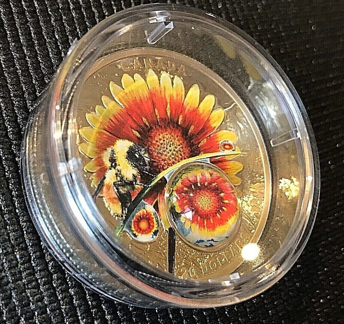 1 Oz Silver Coin Canada Mother Nature&#39;s Magnification Beauty under the Sun Bee-classypw.com-2