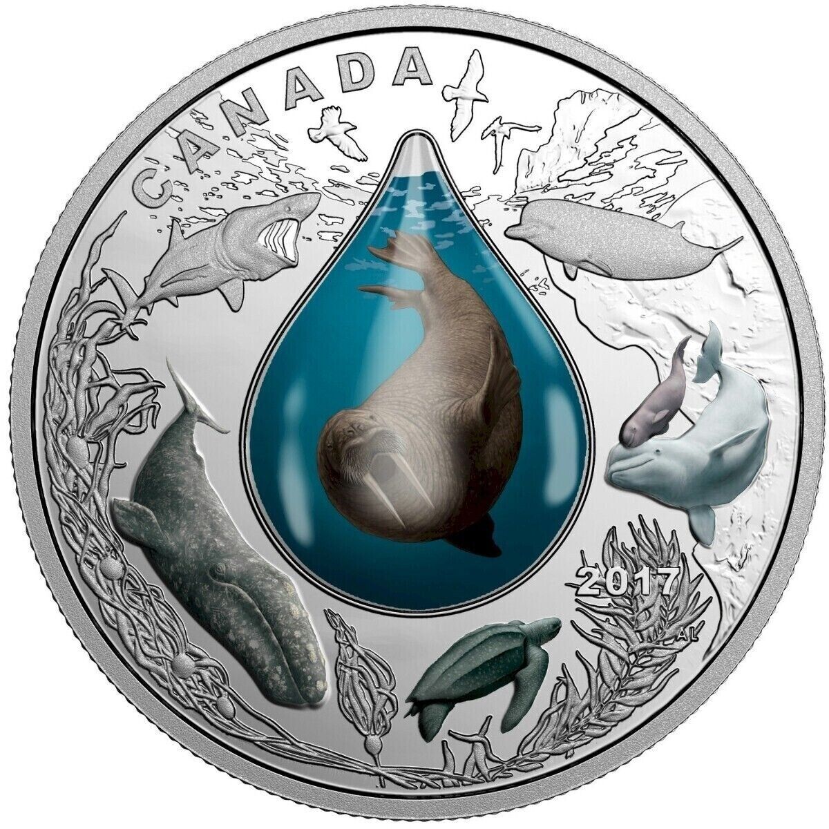 1 oz Silver Coin 2017 $20 Canadian Underwater Life 3D Walrus Water droplet-classypw.com-2