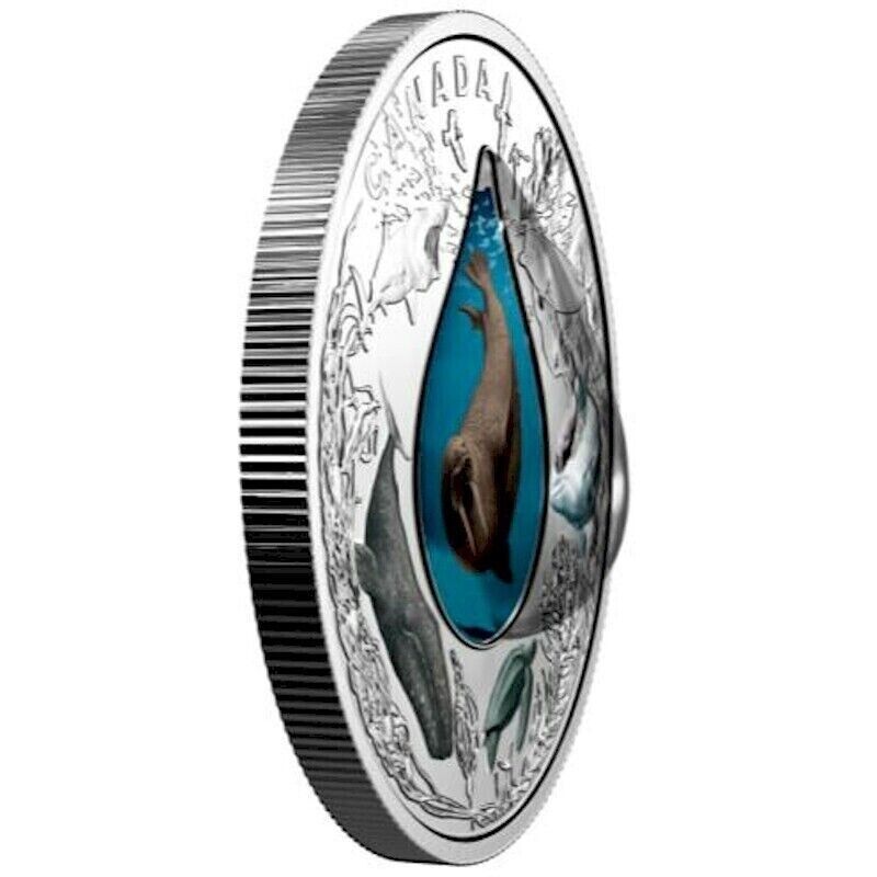 1 oz Silver Coin 2017 $20 Canadian Underwater Life 3D Walrus Water droplet-classypw.com-3