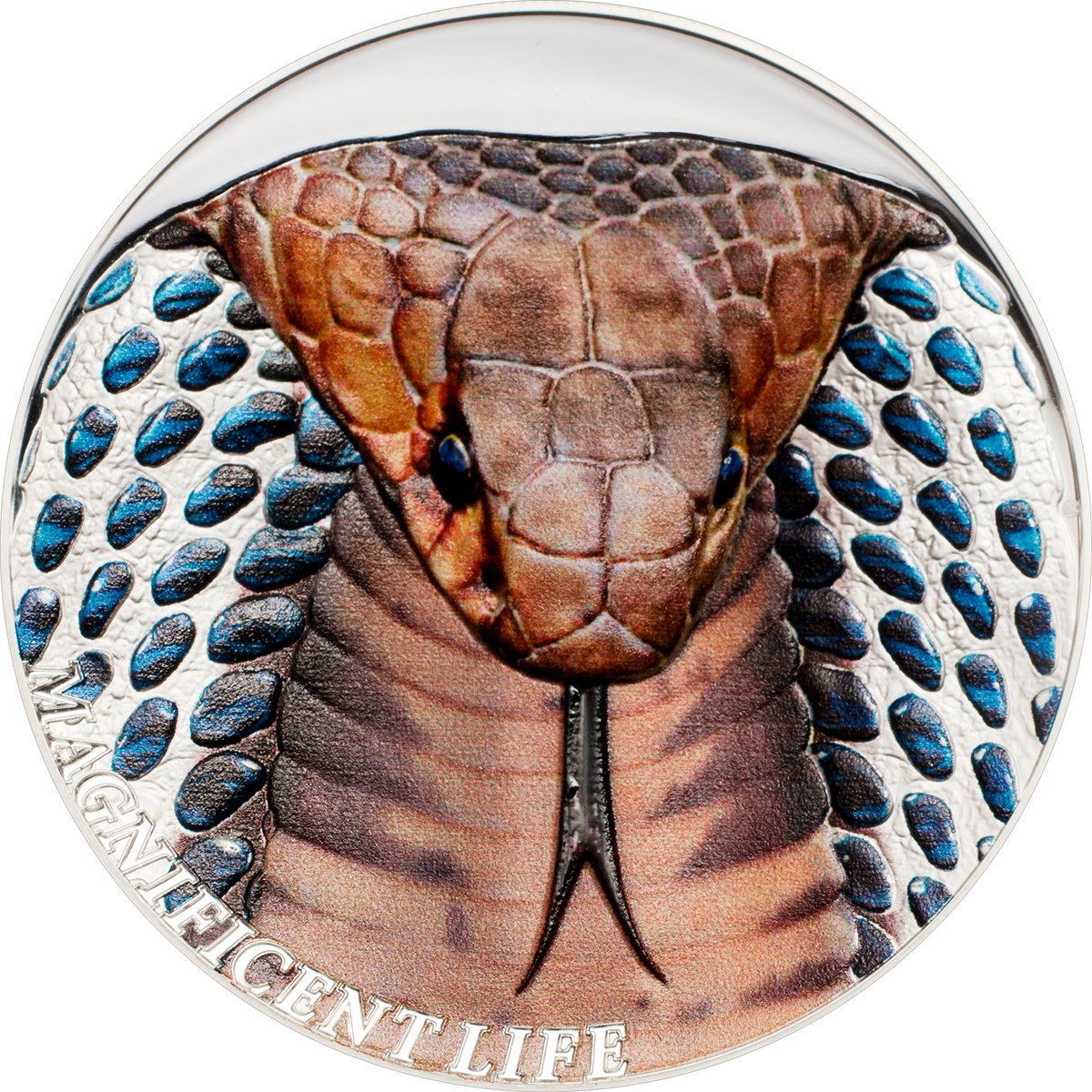 1 oz Silver Coin 2017 $5 Cook Islands Magnificent Life - Cobra Snake Color Coin-classypw.com-1