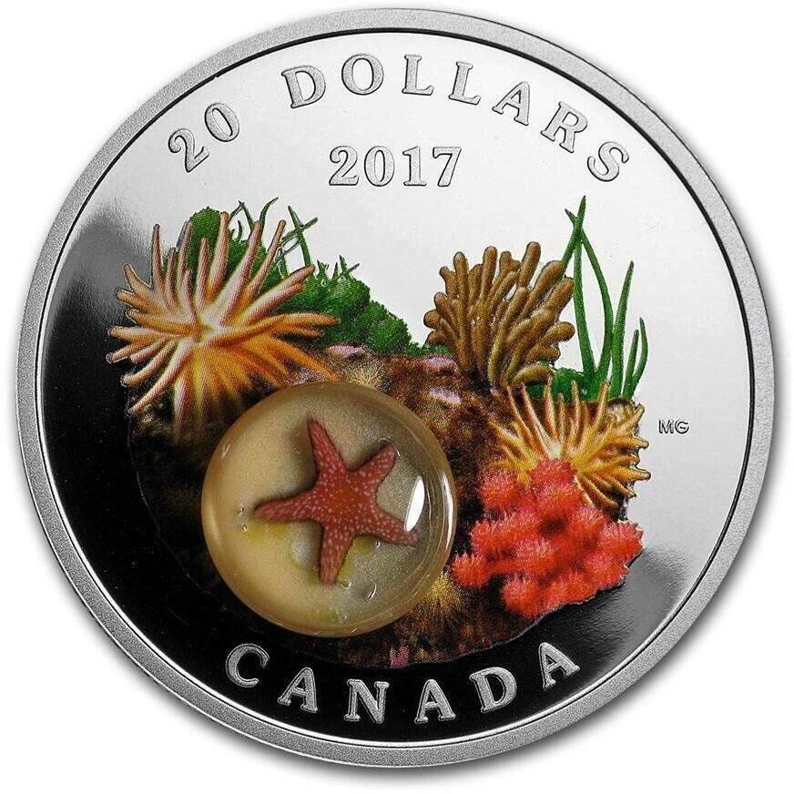 1 oz Silver Coin 2017 Canada $20 Murrini Glass Proof Under the Sea - Sea Star-classypw.com-1