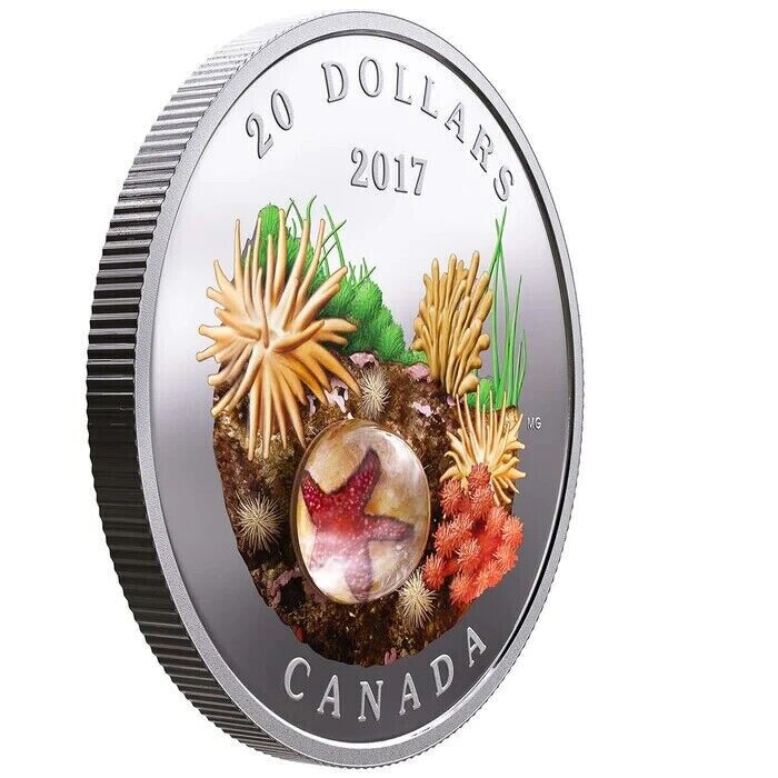 1 oz Silver Coin 2017 Canada $20 Murrini Glass Proof Under the Sea - Sea Star-classypw.com-2