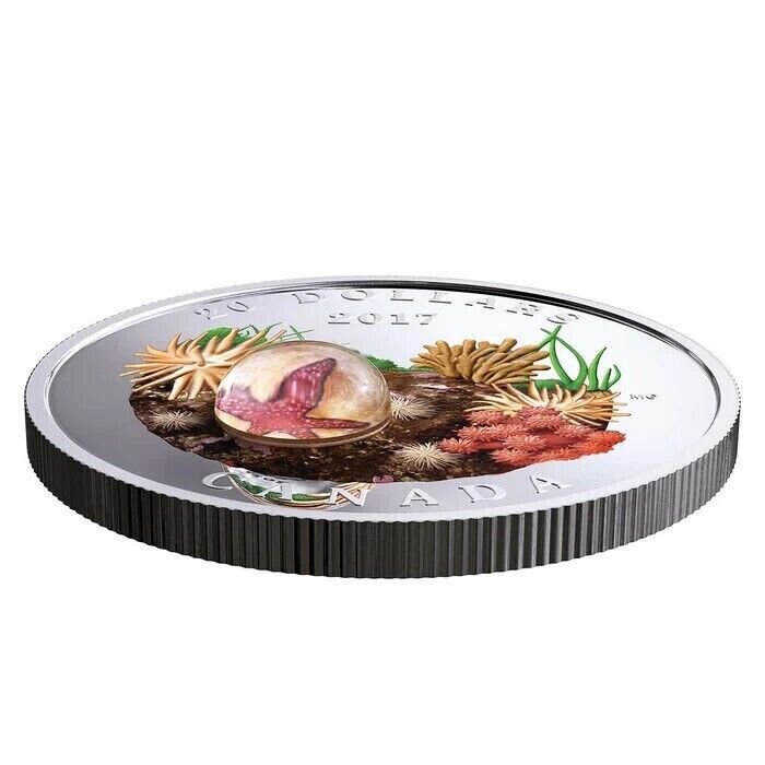 1 oz Silver Coin 2017 Canada $20 Murrini Glass Proof Under the Sea - Sea Star-classypw.com-3