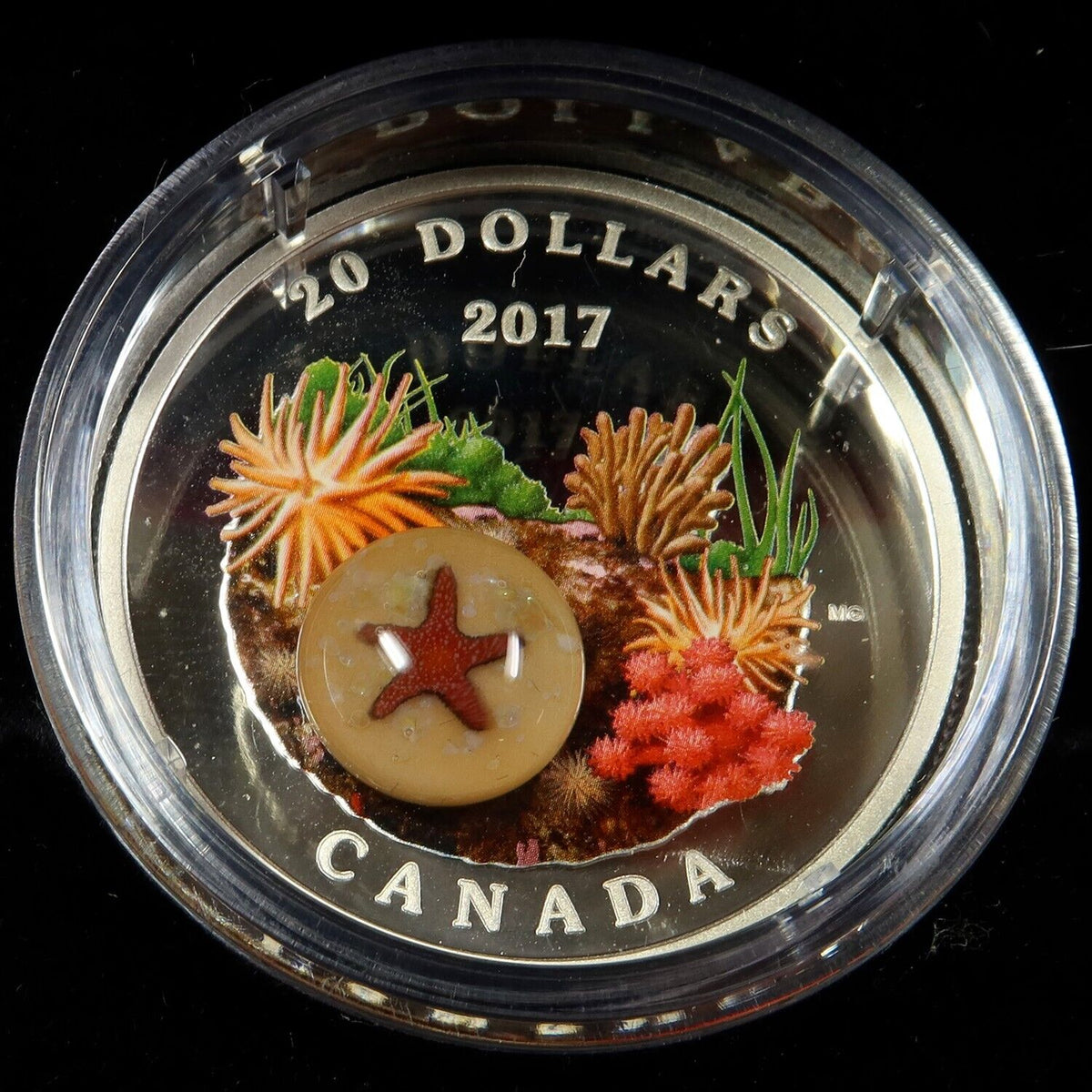 1 oz Silver Coin 2017 Canada $20 Murrini Glass Proof Under the Sea - Sea Star-classypw.com-4