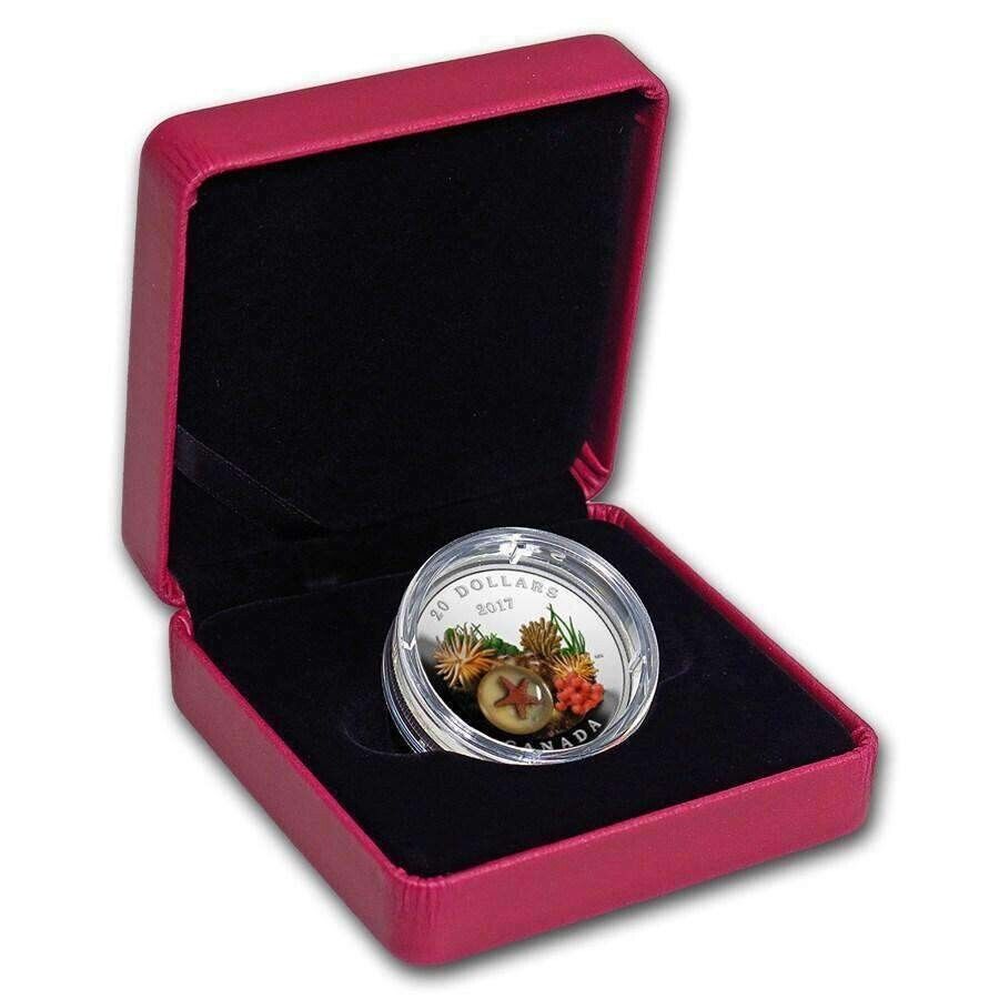 1 oz Silver Coin 2017 Canada $20 Murrini Glass Proof Under the Sea - Sea Star-classypw.com-6