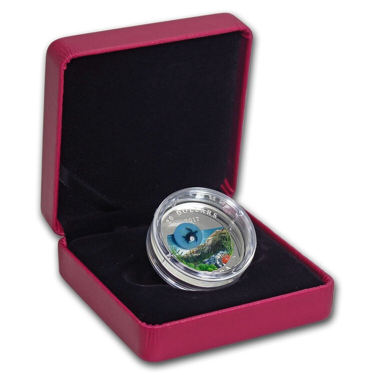 1 oz Silver Coin 2017 Canada $20 Murrini Glass Proof Under the Sea - Sea Turtle-classypw.com-4