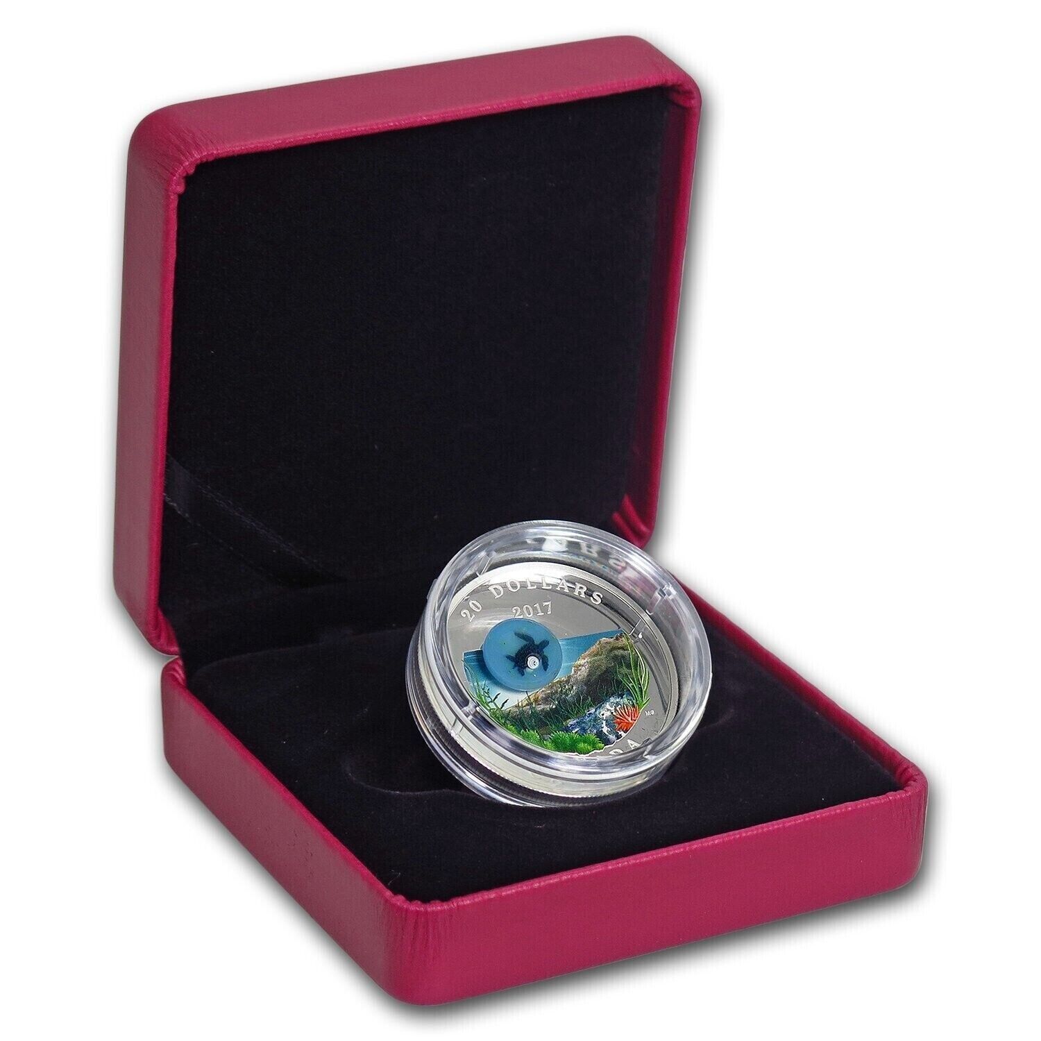1 oz Silver Coin 2017 Canada $20 Murrini Glass Proof Under the Sea - Sea Turtle-classypw.com-4