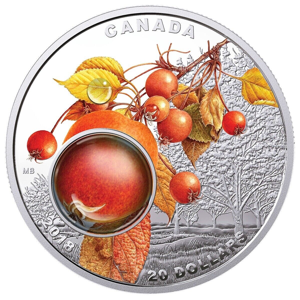 1 oz Silver Coin 2018 Canada $20 Mother Natures Magnification: Morning Dew-classypw.com-1