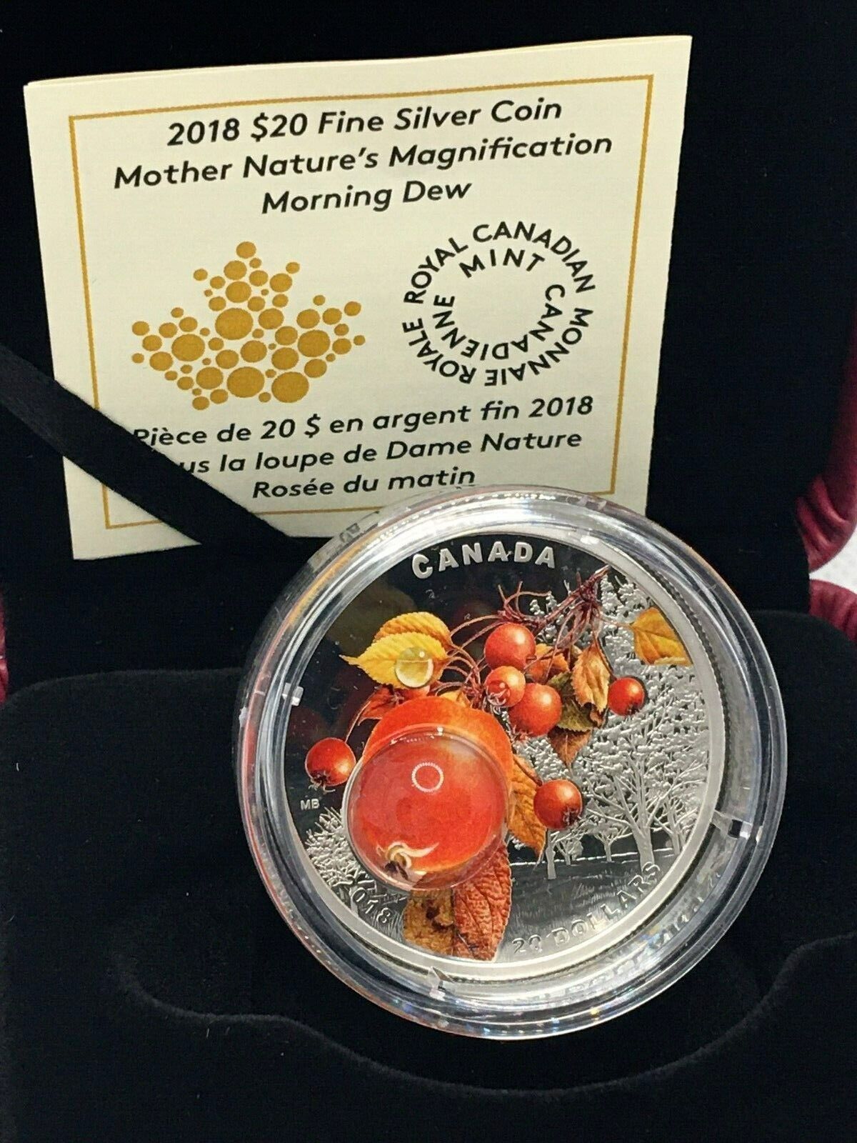 1 oz Silver Coin 2018 Canada $20 Mother Natures Magnification: Morning Dew-classypw.com-4