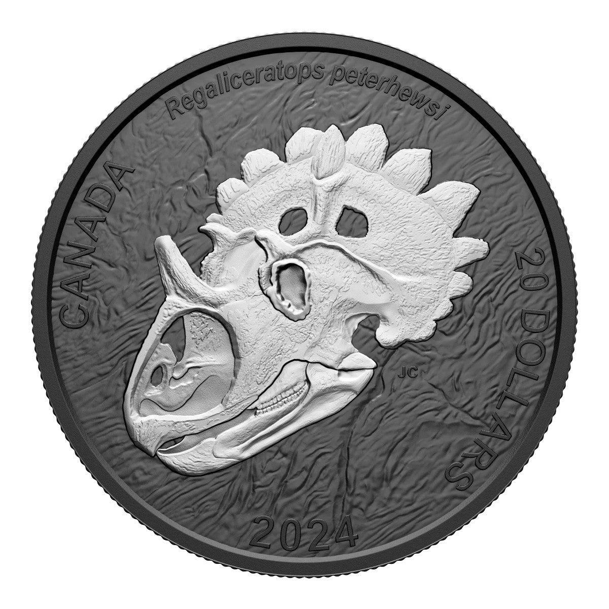 45687538