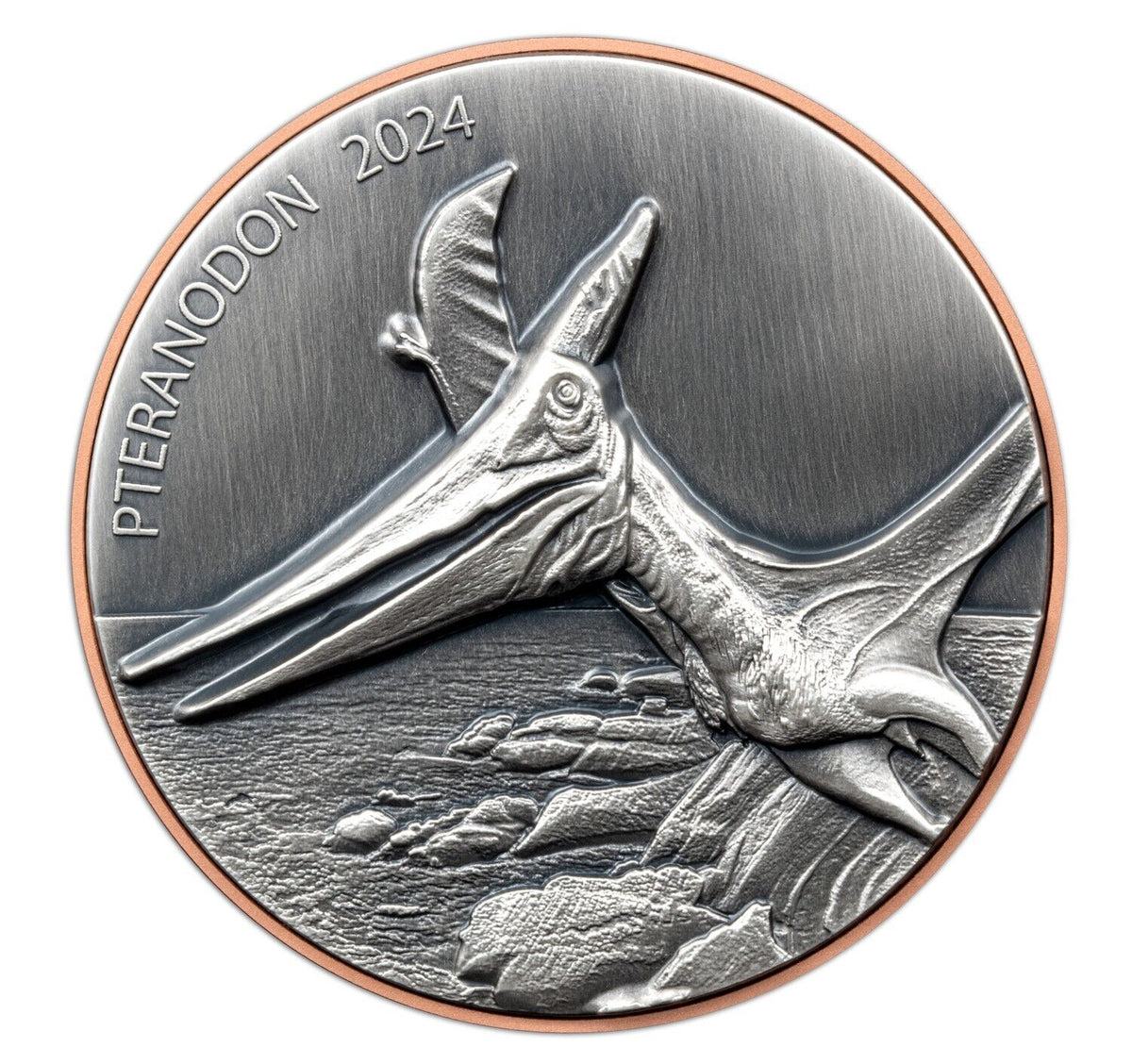 10g Silver Coin &amp; 145g Copper 2024 Vanuatu Pteranodon Double Giant HR Dinosaur-classypw.com-1