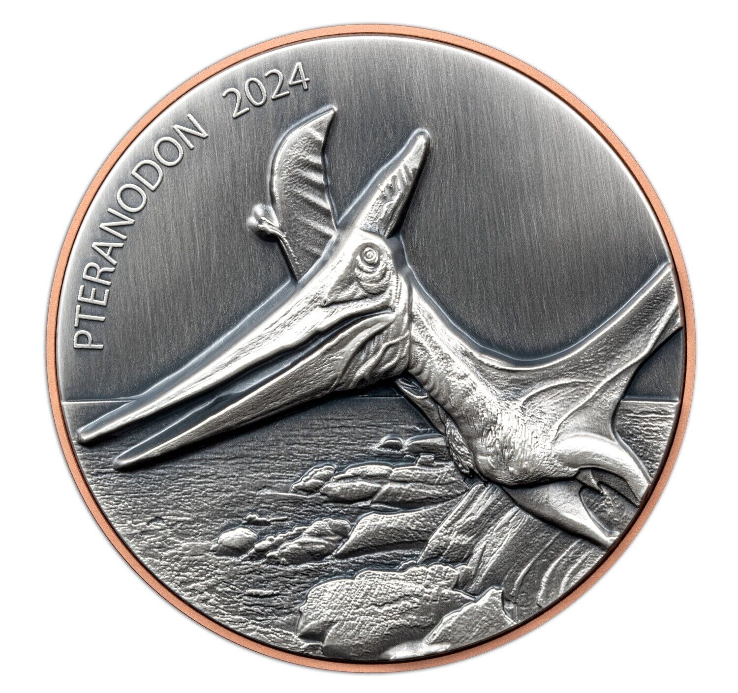 10g Silver Coin & 145g Copper 2024 Vanuatu Pteranodon Double Giant HR Dinosaur-classypw.com-1