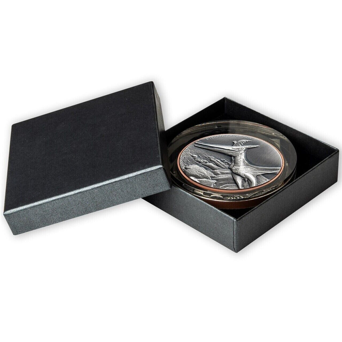 10g Silver Coin &amp; 145g Copper 2024 Vanuatu Pteranodon Double Giant HR Dinosaur-classypw.com-3
